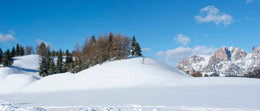 7 dicembre 2008 - Paesaggio invernale by Dario Franceschini