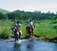 Troy horse riding by troyhorseriding