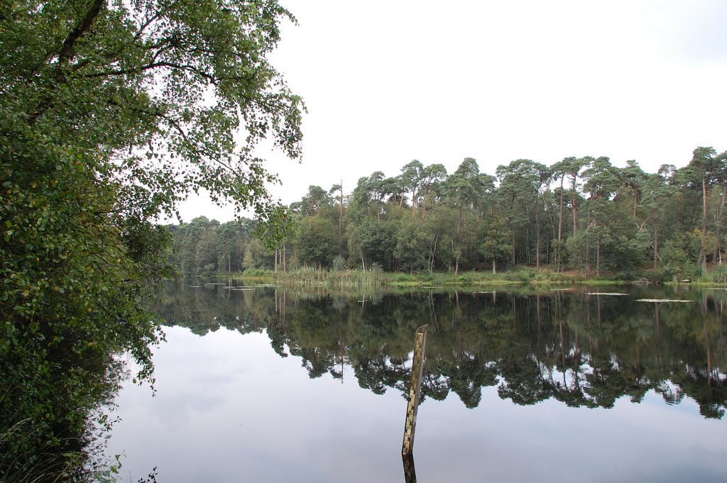 Oisterwijkse Bossen en Vennen by WilliamR