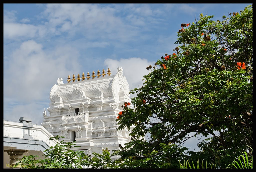 ISKCON Temple by Matej Vosk