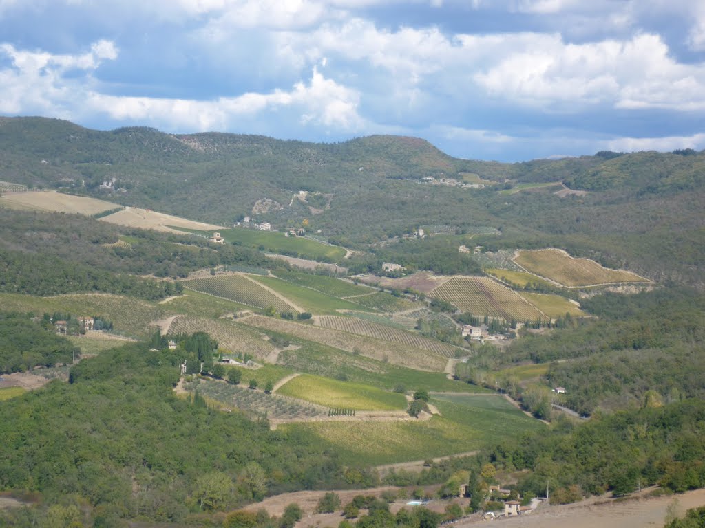 Vigneti circondati da boschi.Il vero Chianti. by alessandro.a.