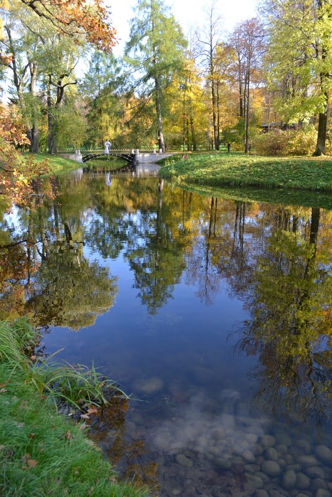 Park by Lev Peterburg