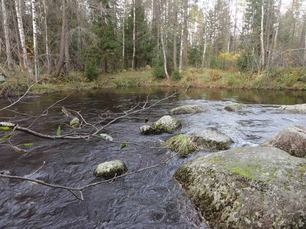 Vyborgsky District, Leningrad Oblast, Russia by Irixa