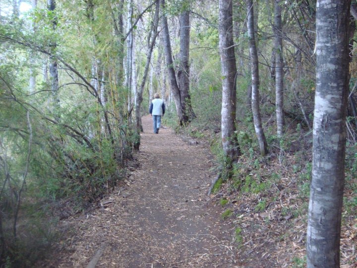 Sendero a Puerto Chucao - PN Los Alerces - Pcia de Chubut by Nora Paradela