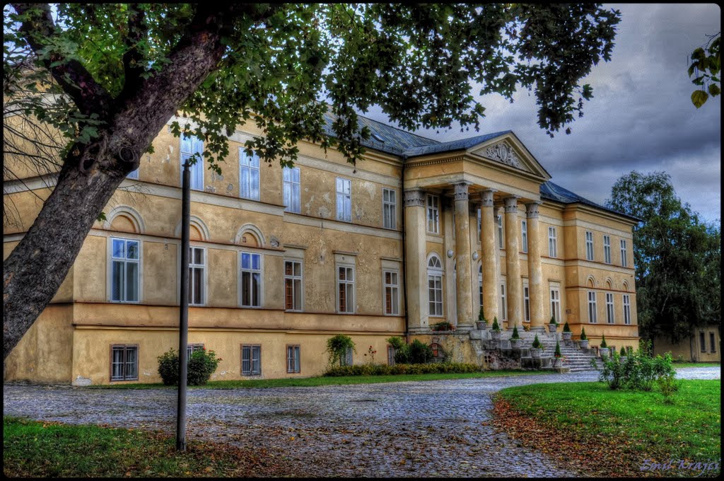 Castle, Dolna Krupa by ekrajci