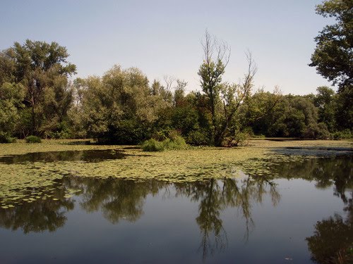 Lakes near Sava river by teo.gasparovic