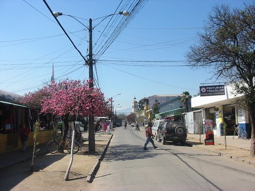 San Vicente, VI Región, Chile by Santos Fernández