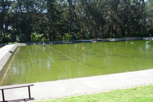 Casting Pool Golden Gate Park by bubbalink