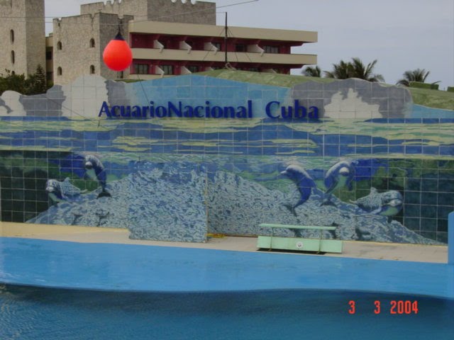 ACUARIO NACIONAL by La cuevita