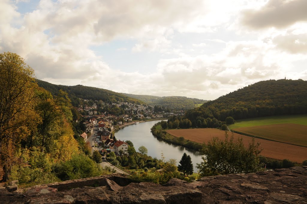 Blick von der Hinterburg by Willi Günter Glietsc…