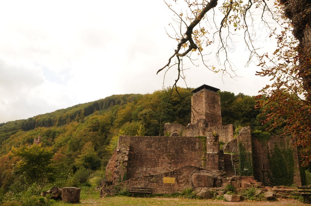 Ruine Hinterburg by Willi Günter Glietsch