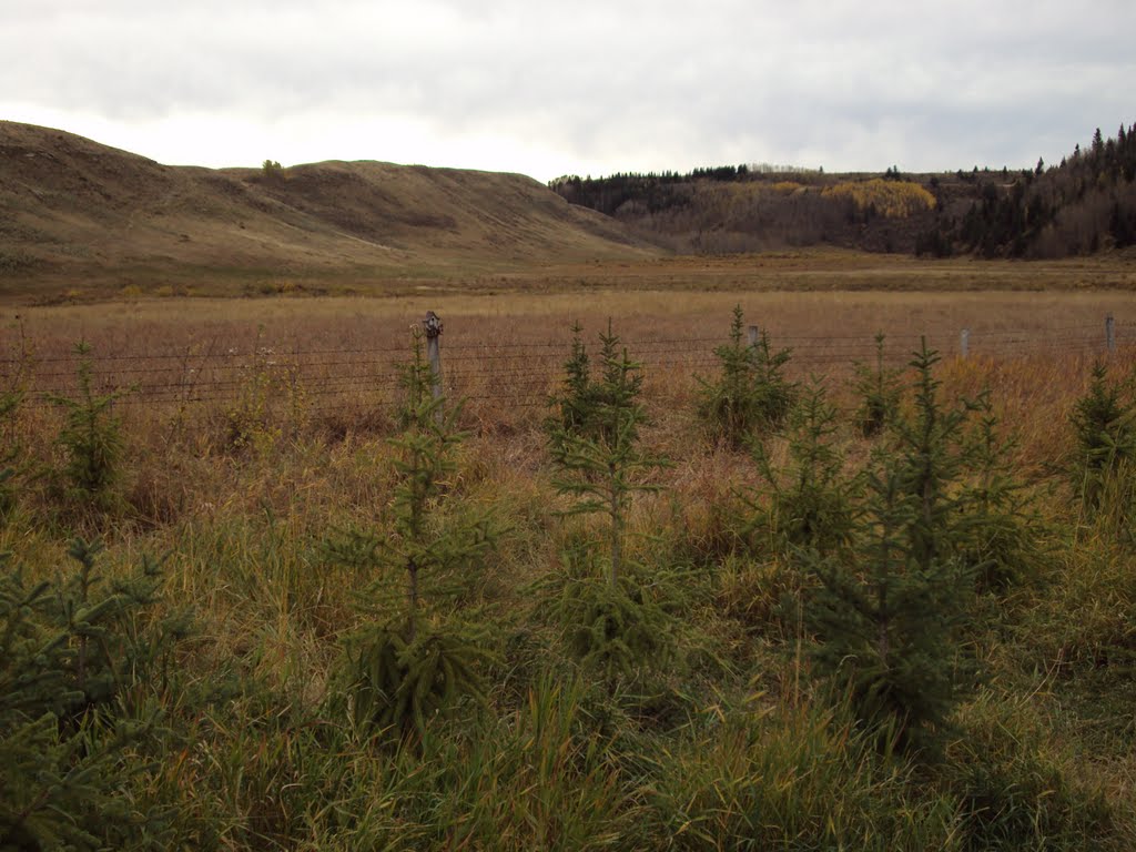 Pasture in Big Hill Springs Provincial Park, Oct. 2011 by canucklehead1947