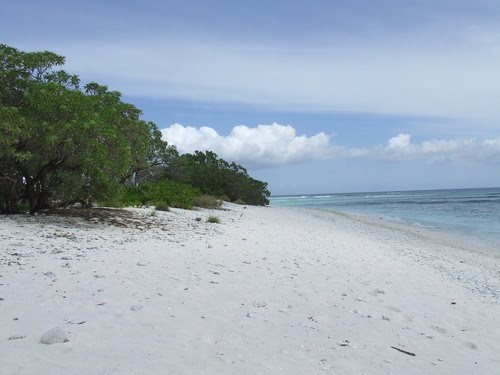 Hermit Crab Beach, Kiribati Looking South by Gerald Bond