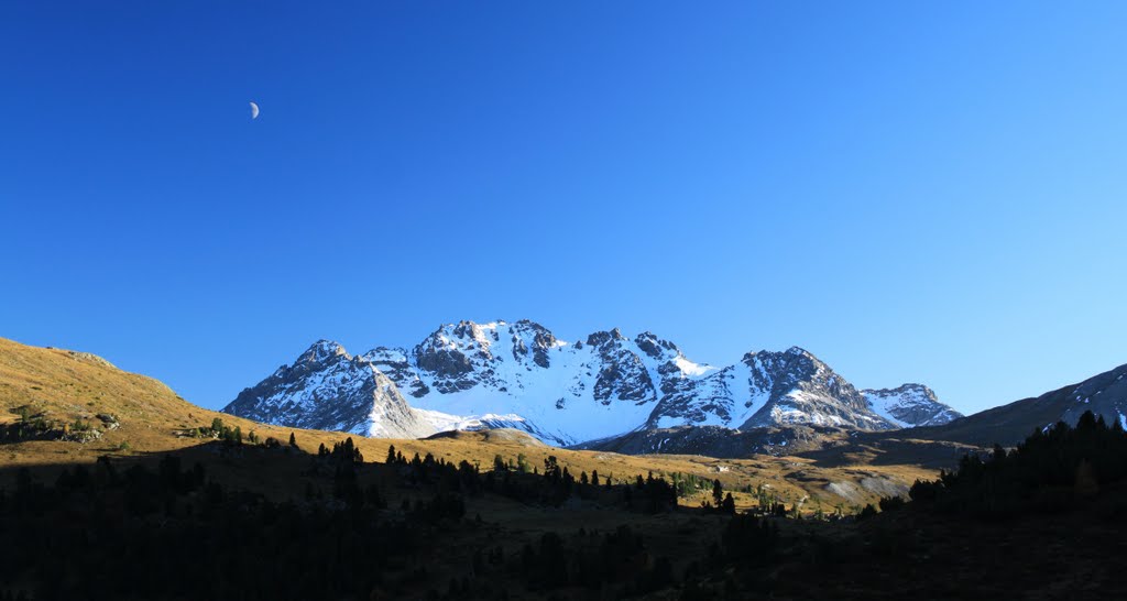 Alp Buffalora mit Blick zum Piz Daint by Iwan Schrackmann