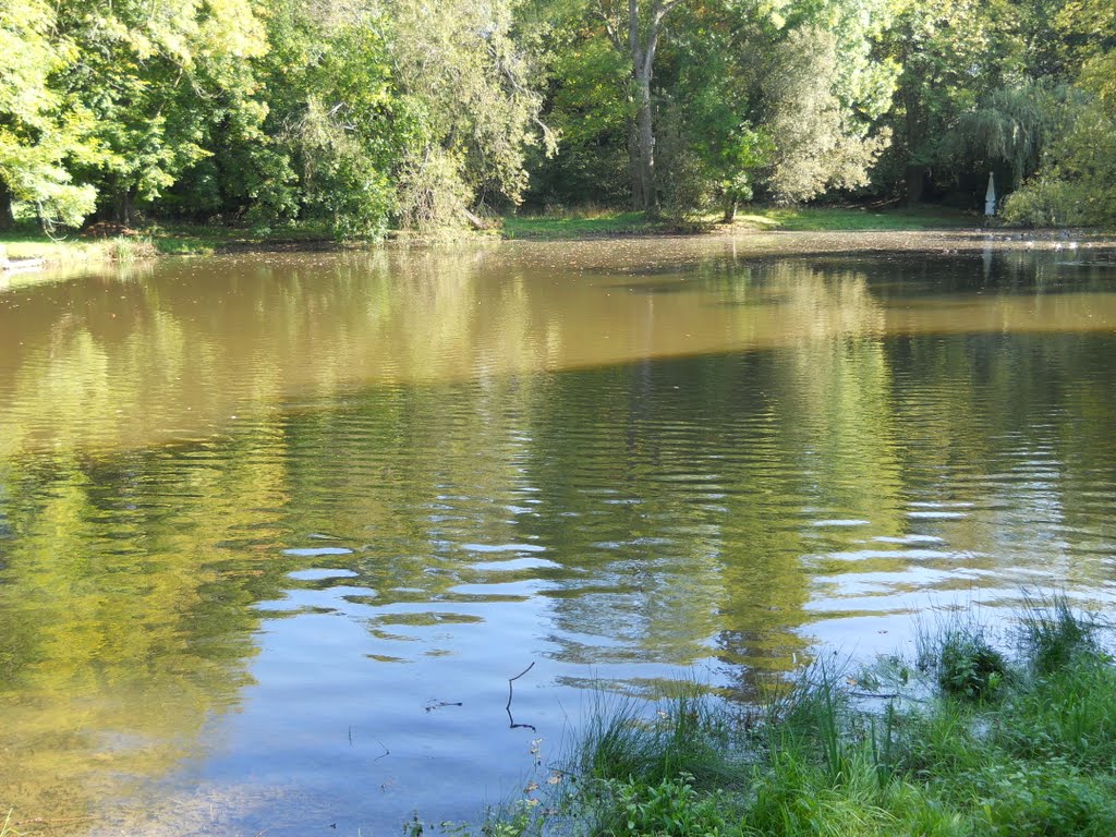 Wilk's Water by Robert'sGoogleEarthPictures