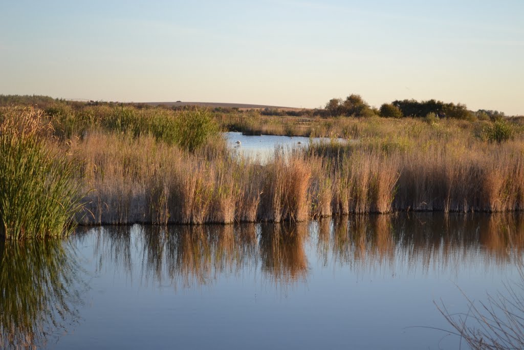 Reflejos en las Tablas by yolanda manso