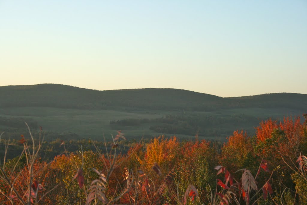 Scenic Overlook by Adam Elmquist