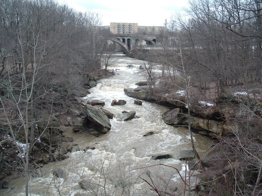 Berea Falls Late winter by Bubba The Mutt