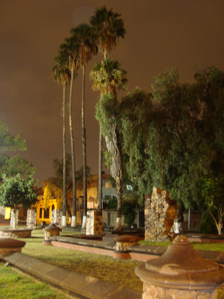 Arboledas del Rio, Santiago de Querétaro, Qro., Mexico by hawkliberti