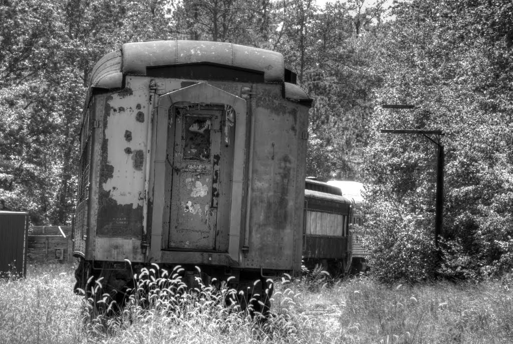 Train at Tuckahoe Train Station by Aaron Maffei