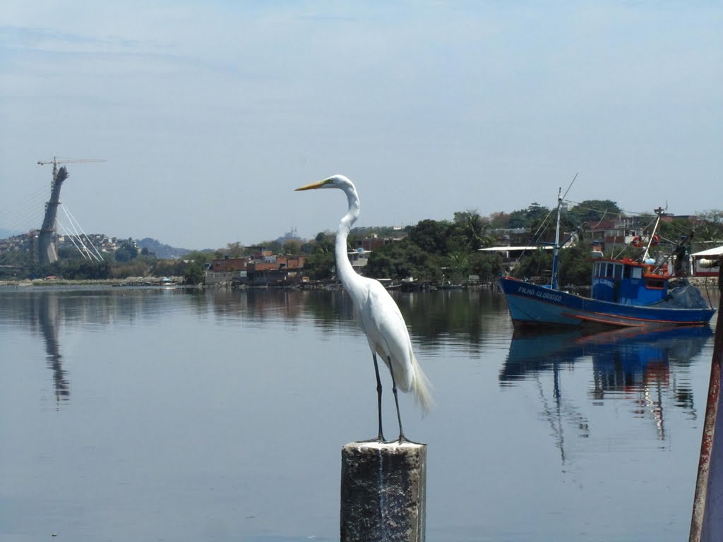 R. João Caruso, 2 - Caju, Rio de Janeiro - RJ, 20932-490, Brazil by Gilberto Figueira da…