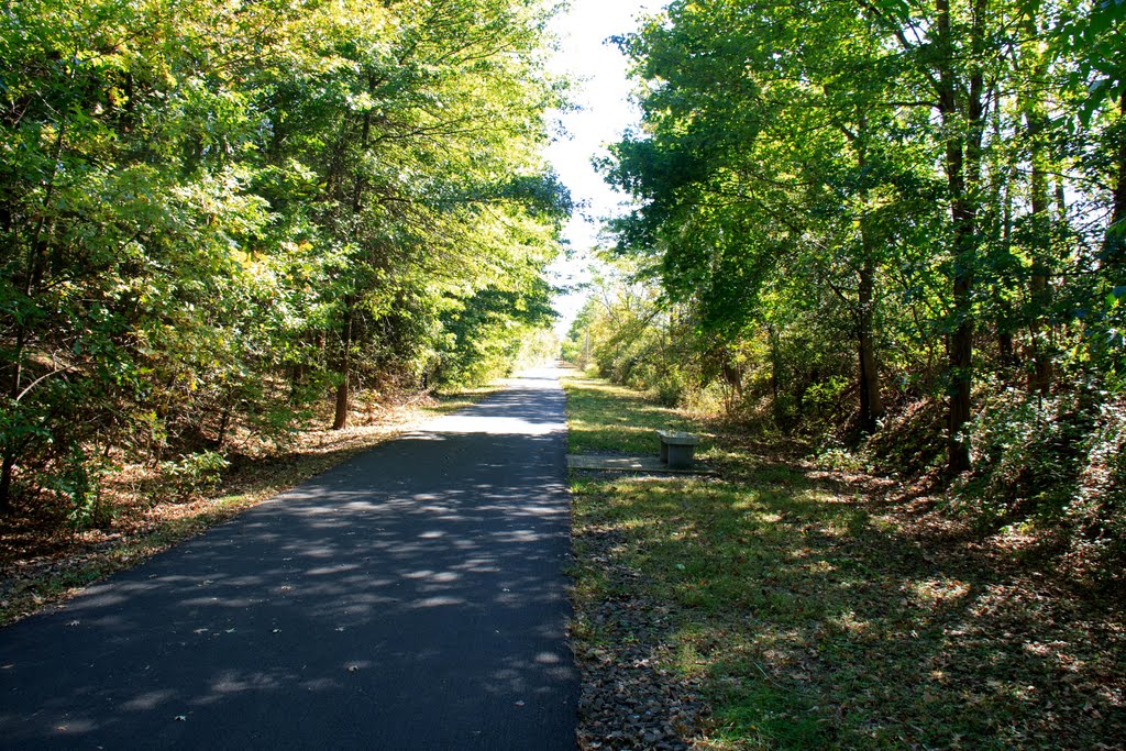 Rail Trail looking SE by Matthew Plante