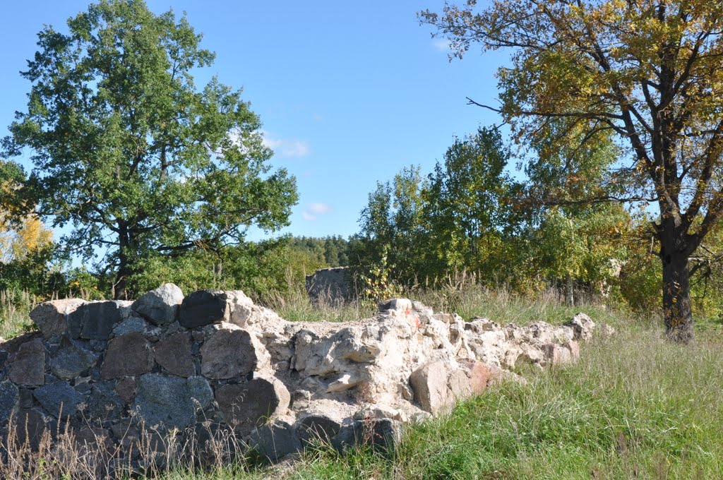 Bajāru kroga drupas, Ropažu pagasts, Ropažu novads, Latvia by M.Strīķis