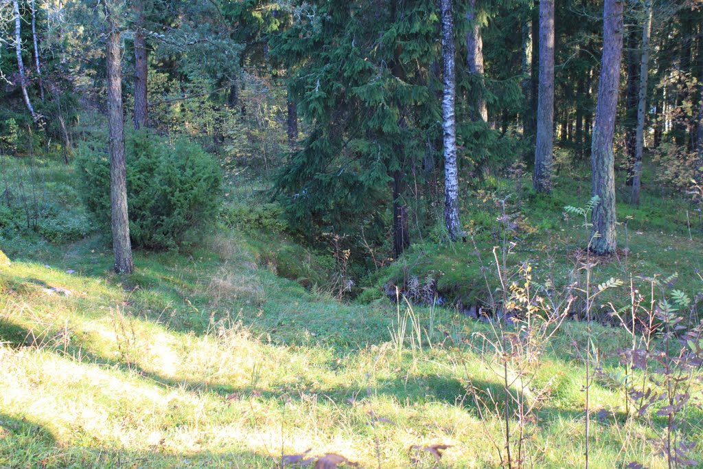 Ensimmäisen maailmansodan aikainen puolustusasema by Jorma Hokkanen