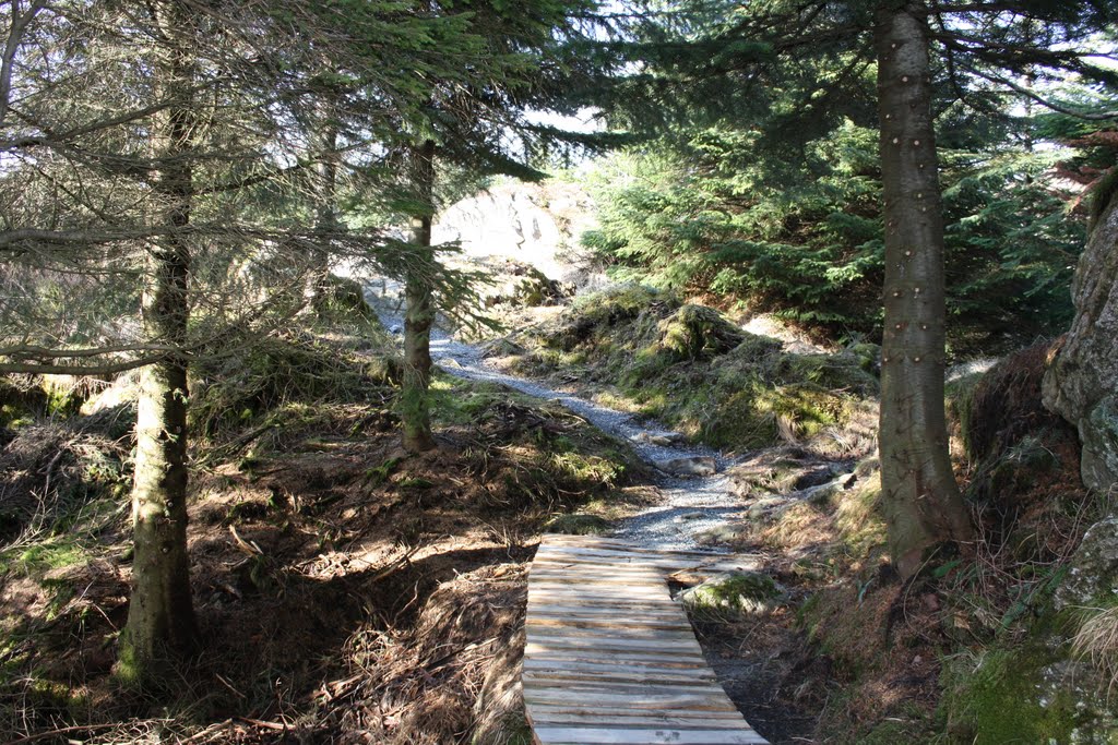 Path to Fjellhytten by Mona Lygre