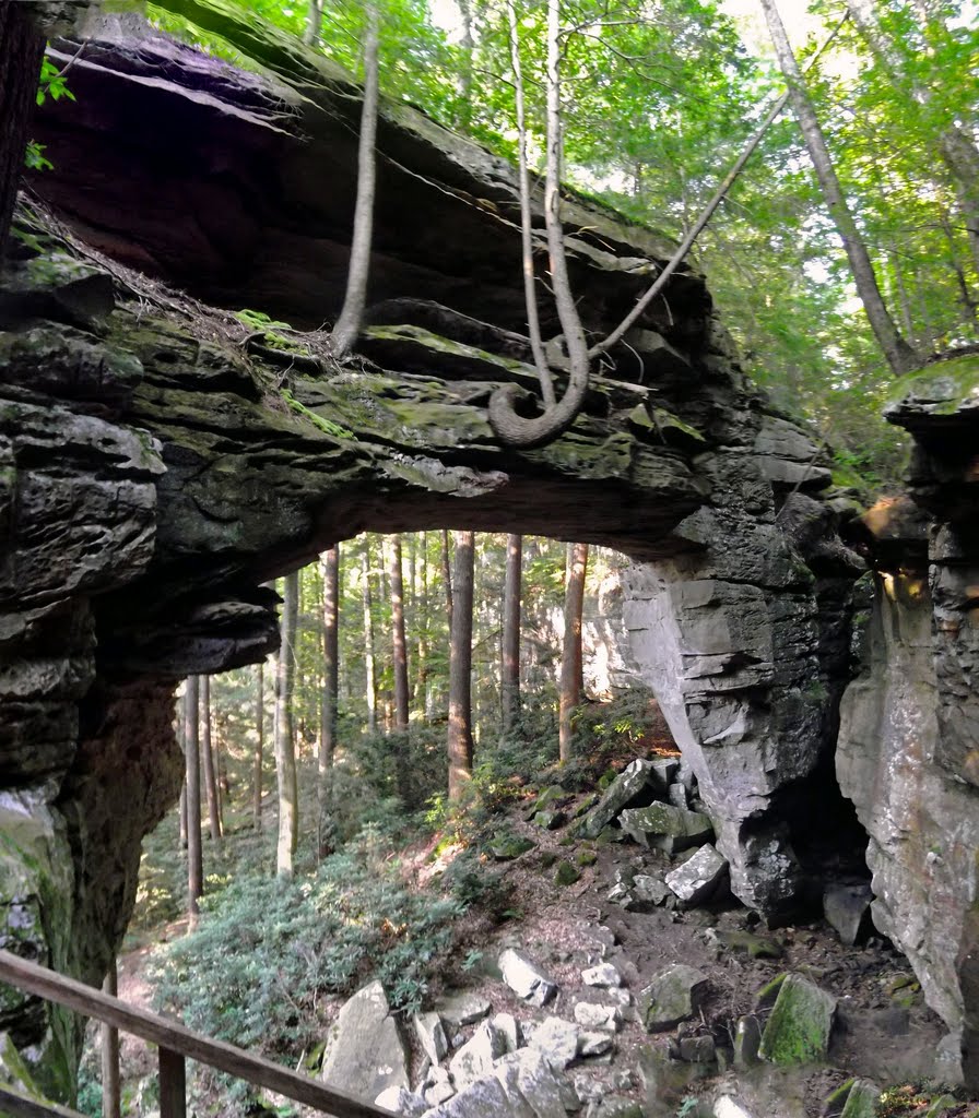 Split Bow Arch, Big South Fork NRRA by Steve Schmorleitz