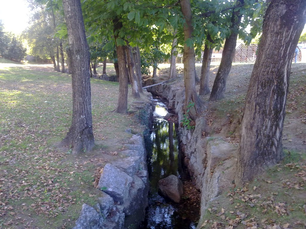 Guimarães, ribeiro no Parque da Cidade by Fernando J. Oliveira