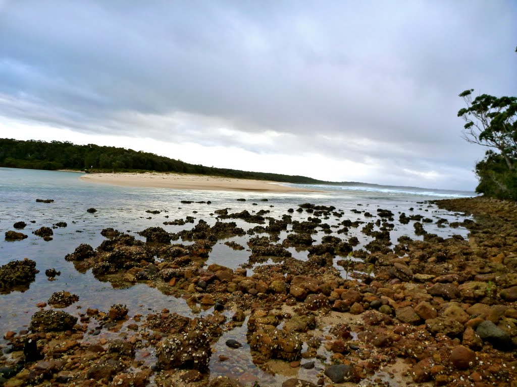 Narrawallee Inlet by Adam Mazzucco