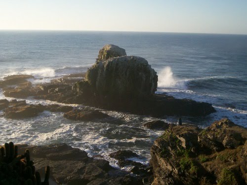 Punta de Lobos by Jhon Ortiz C.