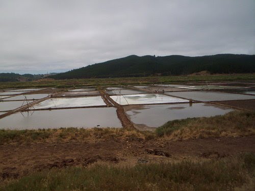 Salinas de Boyeruca by Jhon Ortiz C.