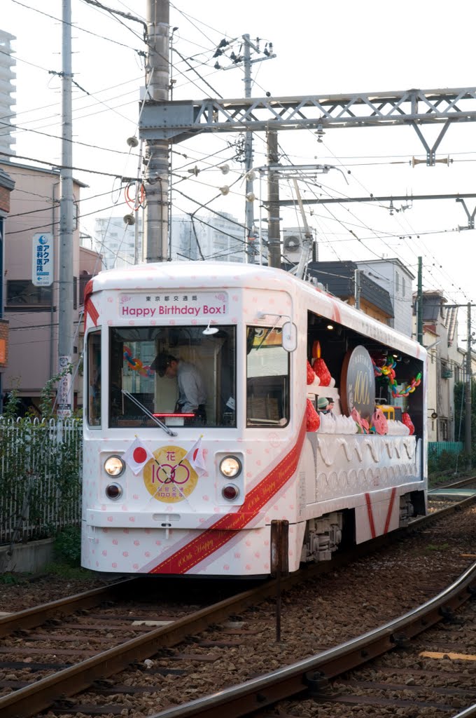 Toden Arakawa line : Decorated Tram / 都電荒川線 : 花電車 by T SATO