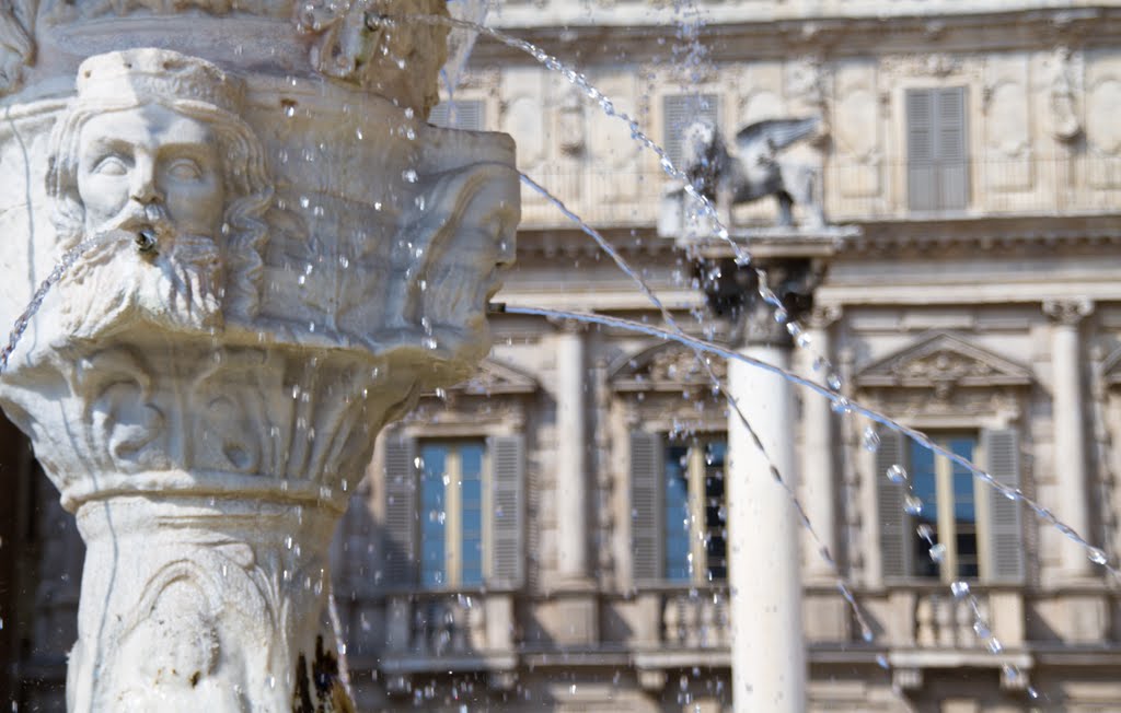 Piazza delle Erbe by michael quintini