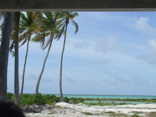 View from Highway North of London, Looking East, Kiribati by Gerald Bond