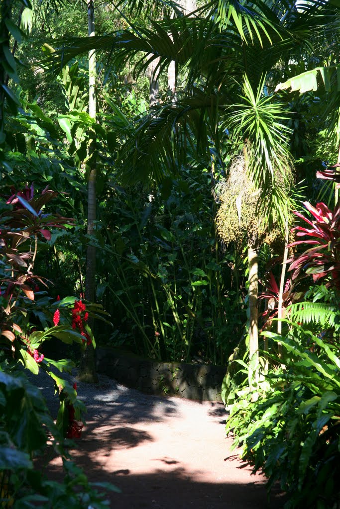 Jardin des Parfums et des Épices, La Réunion, France by Hans Sterkendries