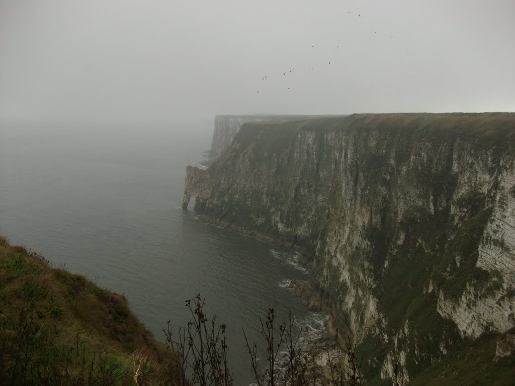 Bempton Cliff's in the rain, by Bigdutchman