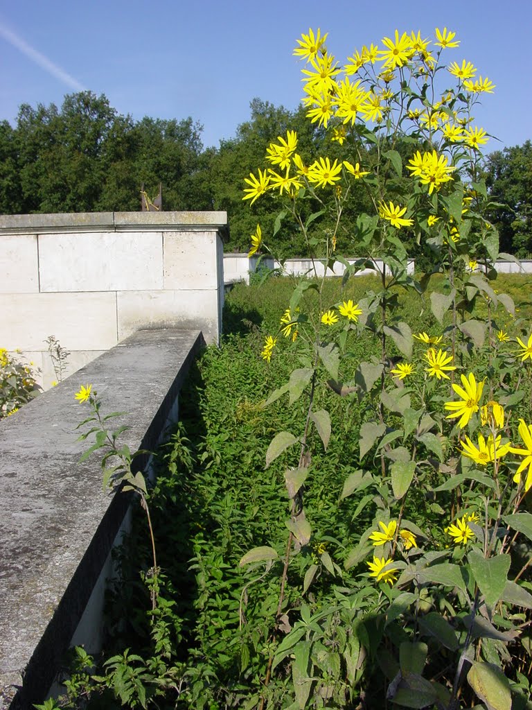 "Zeppelinfeld" Nürnberg 9/2011 by Zeit|Zeuge