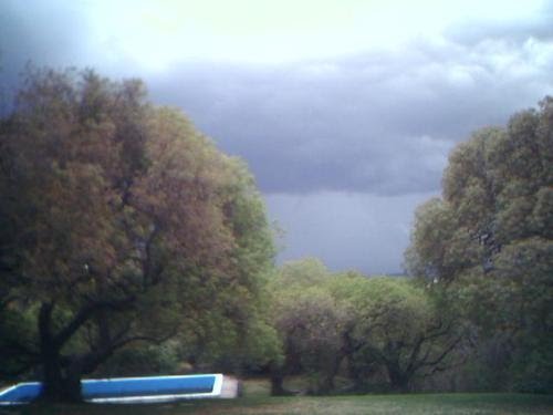 tormenta en los cocos by Miguel C.