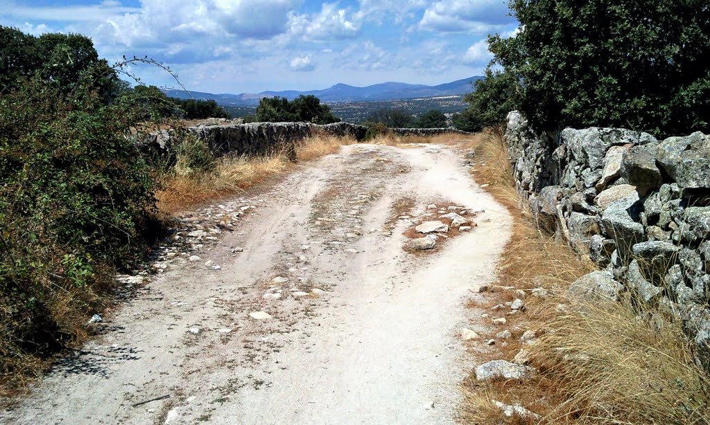 Camino hacia Moralzarzal 1 (ruta Daganzo-Narros) by r_santos