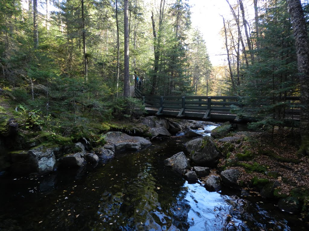 Lac-Supérieur, QC, Canada by neica nimeni