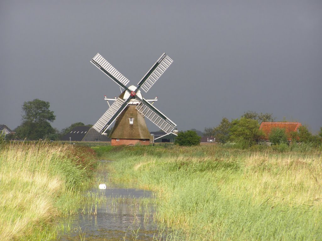 Noordermolen,Noorddijk,Nederland by Renne Rus