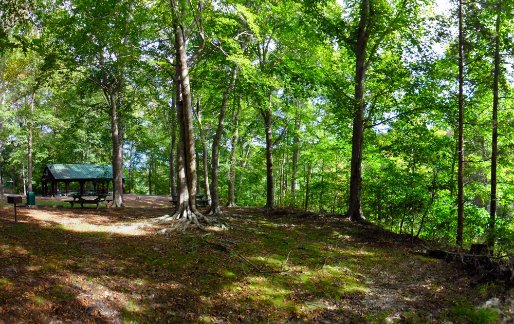 Hanover Wayside Park, Picnic Area - Hanover County, VA. by r.w.dawson