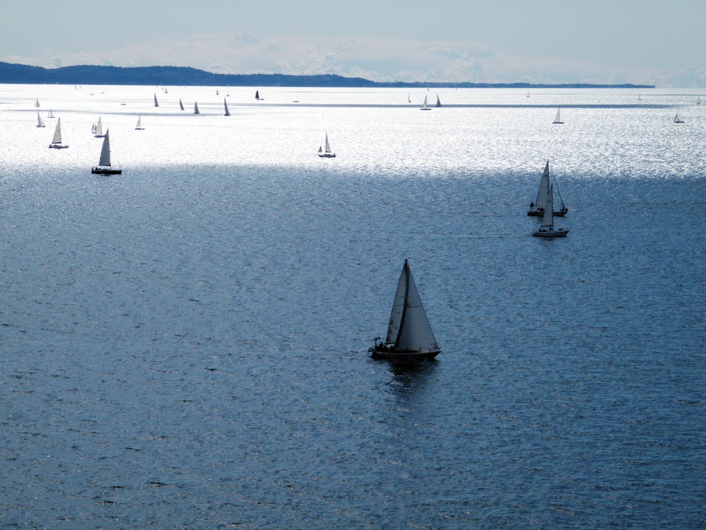 Trieste 9 Ottobre - Barcolana 2011 Punta Salvore by Maurizio Tesan