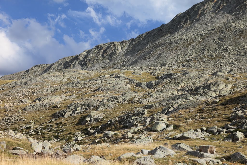 Shepherd with white dog and large flock of sheep. by Quentin UK