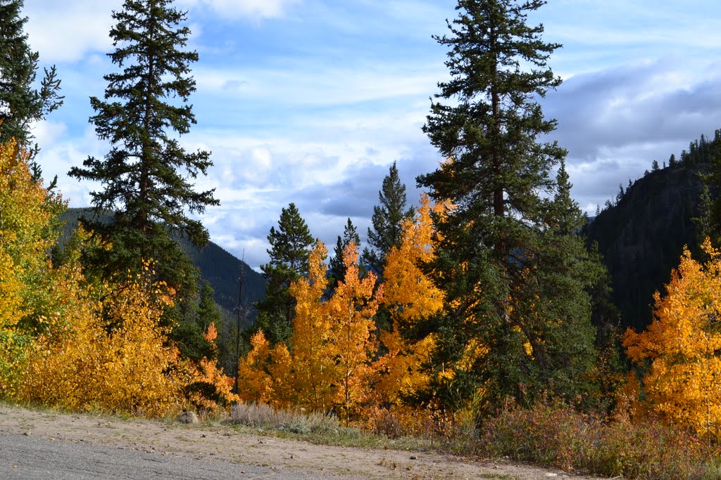 Downhill on the Guanella Pass road -2011- by GSZENDRODI