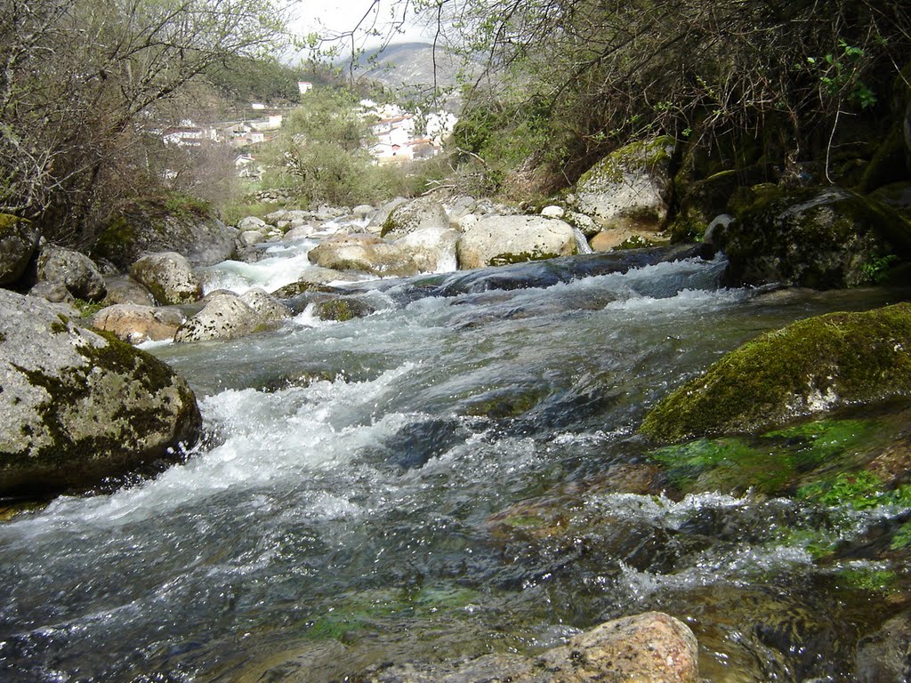 Ribeira Alvoco da Serra - Serra da Estrela by dgppswiss