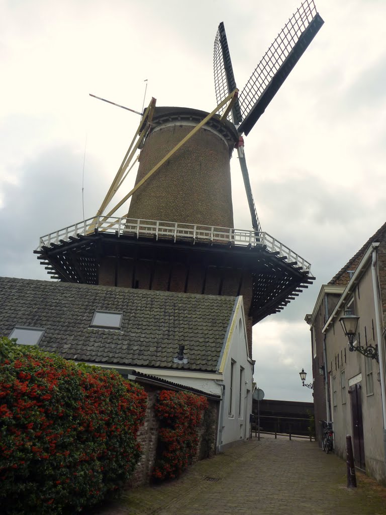 Walplantsoen bij de molen by Martin Klumper